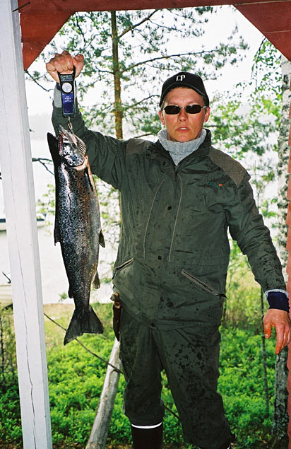 Tintti-Uistimen galleria