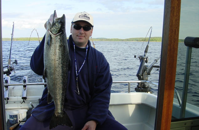 Tintti-Uistimen galleria