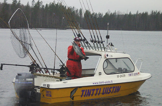 Tintti-Uistimen galleria