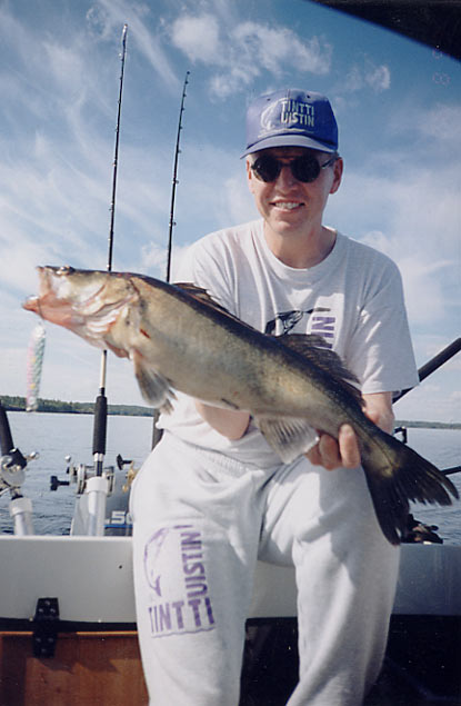 Tintti-Uistimen galleria