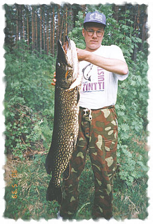 Tintti-Uistimen galleria