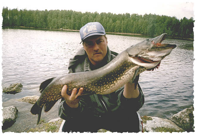 Tintti-Uistimen galleria