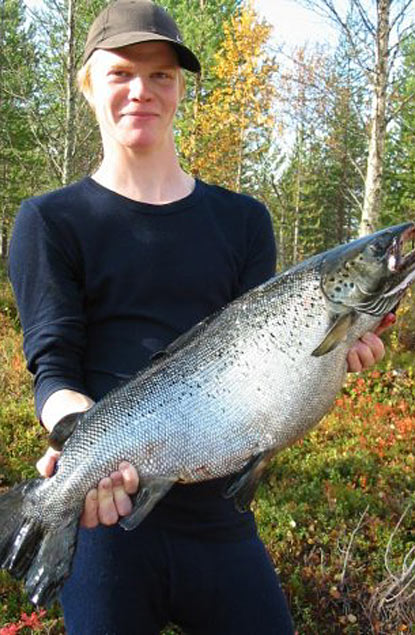 Tintti-Uistimen galleria