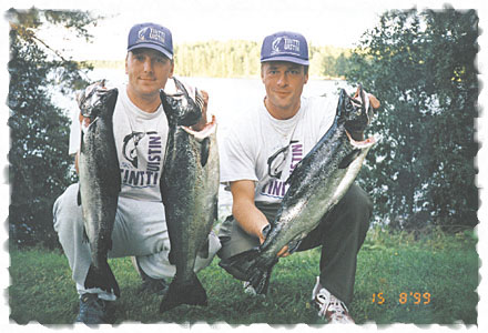 Tintti-Uistimen galleria