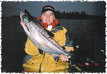 Tintti-Uistimen galleria