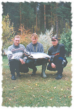 Tintti-Uistimen galleria