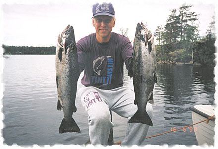 Tintti-Uistimen galleria