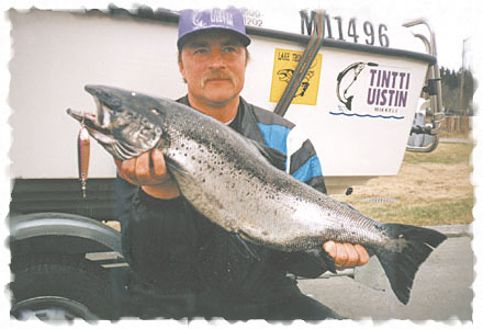 Tintti-Uistimen galleria