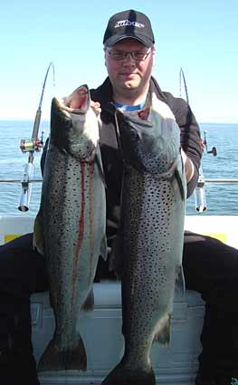 Tintti-Uistimen galleria