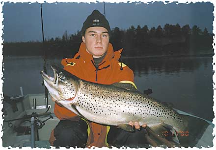 Tintti-Uistimen galleria