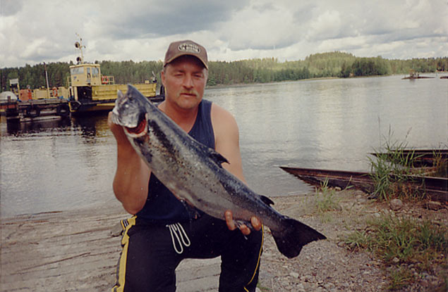 Tintti-Uistimen galleria