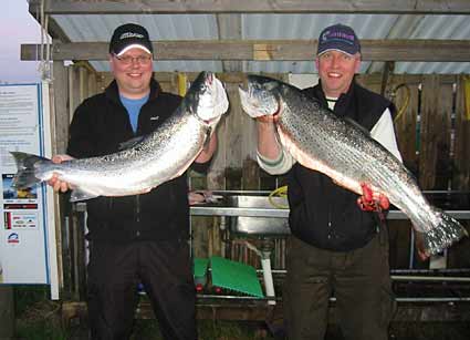 Tintti-Uistimen galleria