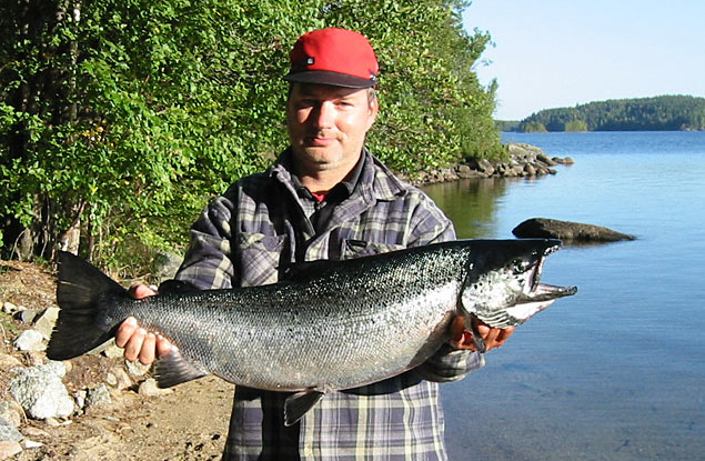 Tintti-Uistimen galleria