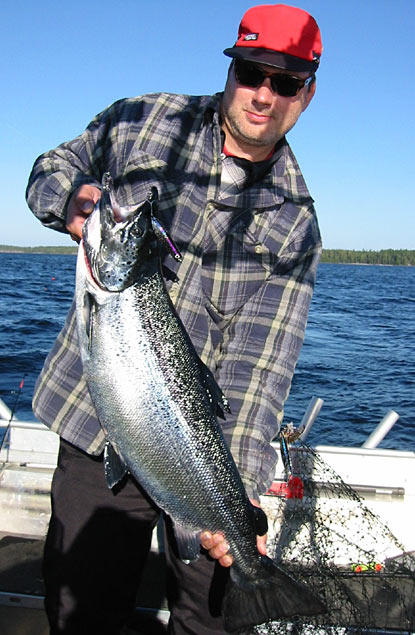 Tintti-Uistimen galleria