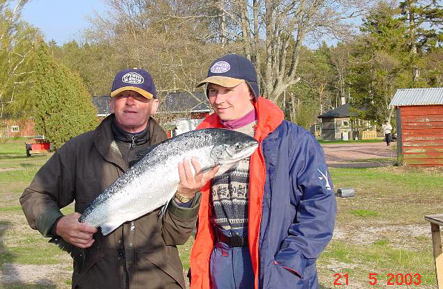 Tintti-Uistimen galleria