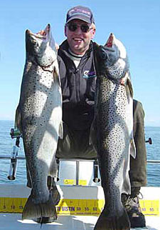 Tintti-Uistimen galleria