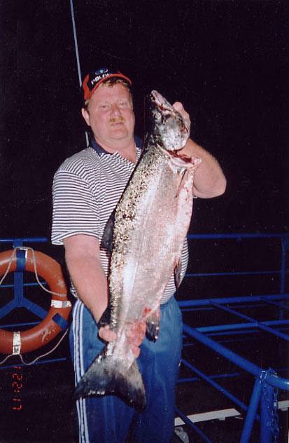 Tintti-Uistimen galleria