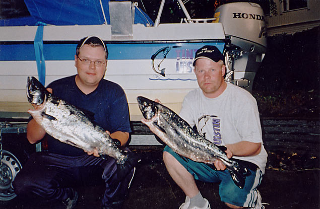 Tintti-Uistimen galleria