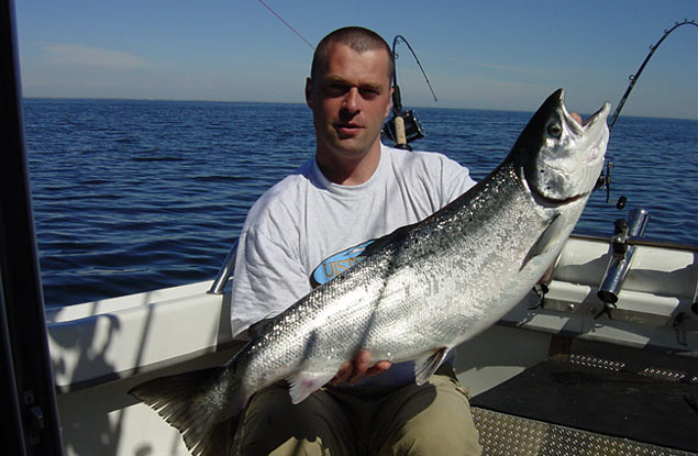 Tintti-Uistimen galleria