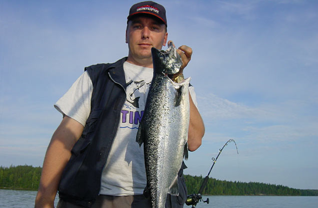 Tintti-Uistimen galleria