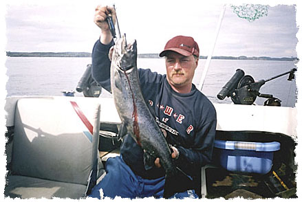 Tintti-Uistimen galleria