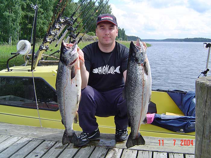 Tintti-Uistimen galleria