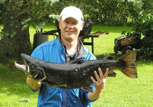 Tintti-Uistimen galleria