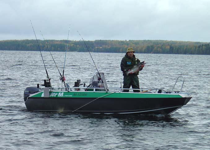 Tintti-Uistimen galleria