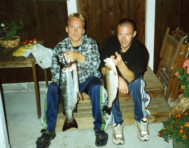 Tintti-Uistimen galleria