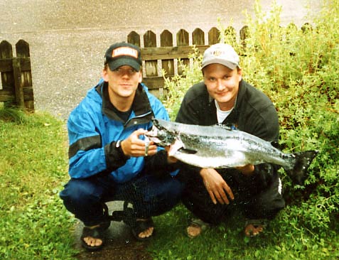 Tintti-Uistimen galleria