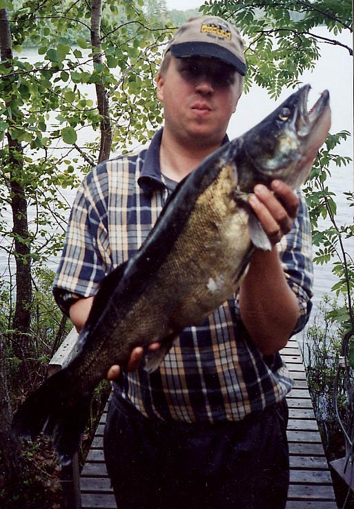 Tintti-Uistimen galleria