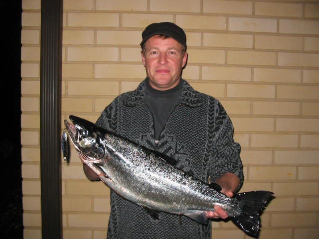 Tintti-Uistimen galleria