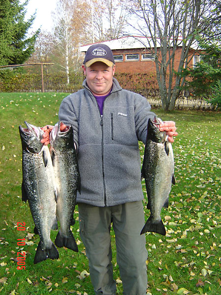 Tintti-Uistimen galleria