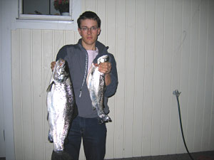 Tintti-Uistimen galleria