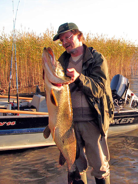 Tintti-Uistimen galleria