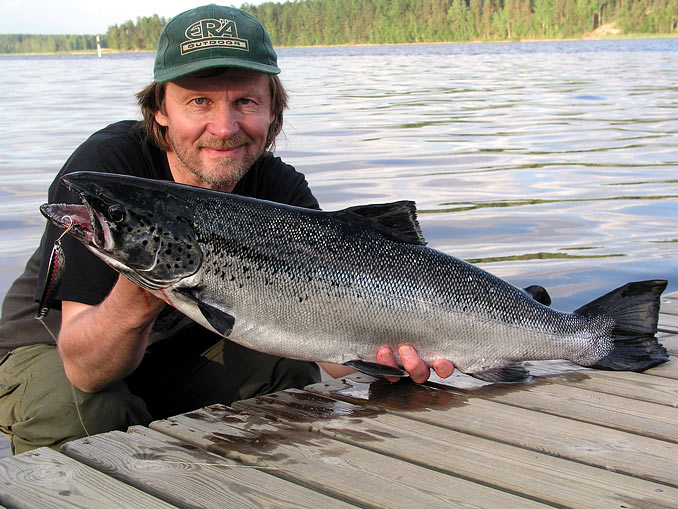 Tintti-Uistimen galleria