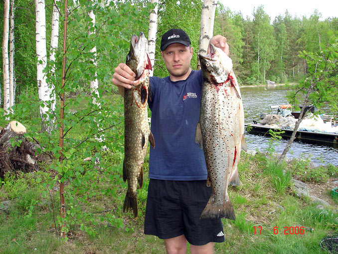 Tintti-Uistimen galleria