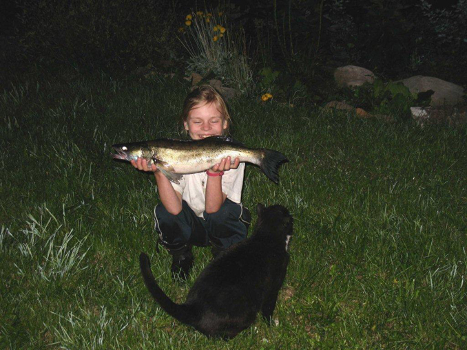 Tintti-Uistimen galleria