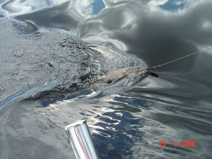 Tintti-Uistimen galleria