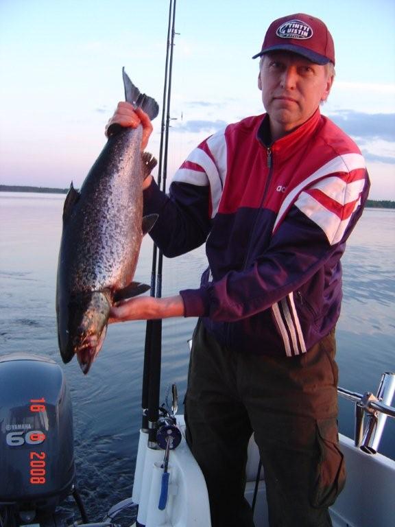 Tintti-Uistimen galleria