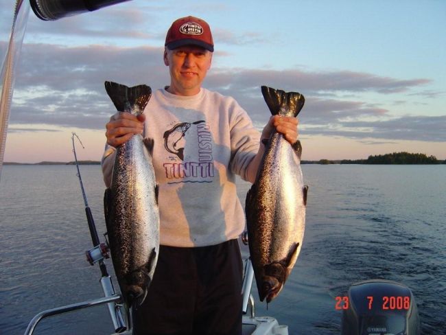 Tintti-Uistimen galleria