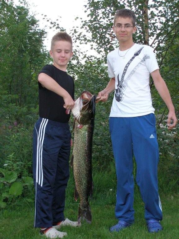 Tintti-Uistimen galleria