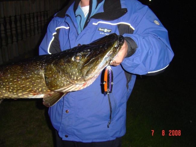 Tintti-Uistimen galleria