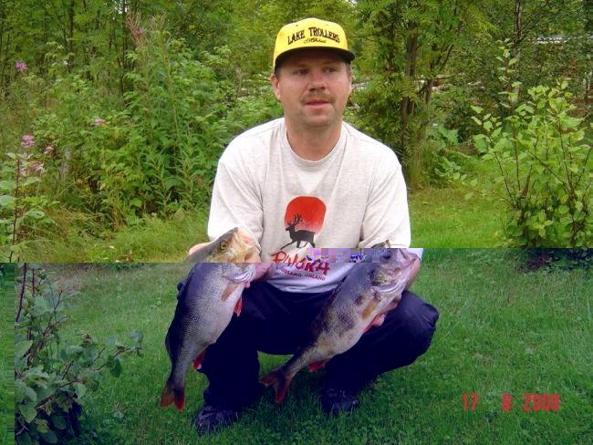 Tintti-Uistimen galleria