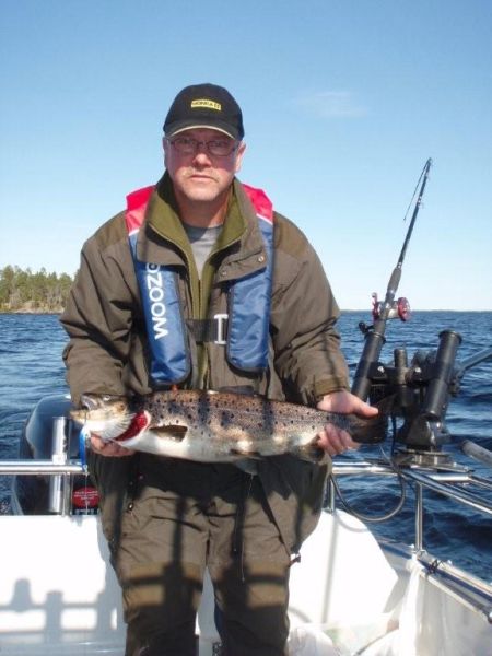 Tintti-Uistimen galleria