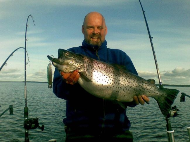 Tintti-Uistimen galleria