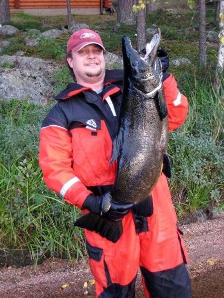 Tintti-Uistimen galleria