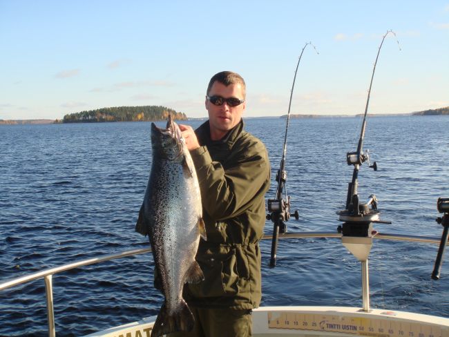 Tintti-Uistimen galleria