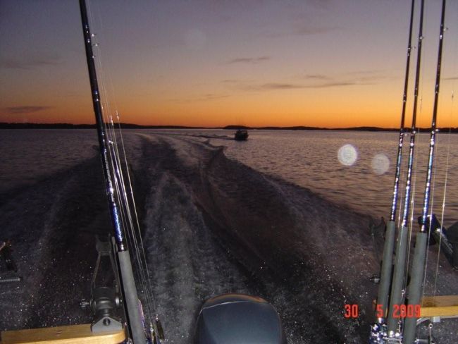 Tintti-Uistimen galleria