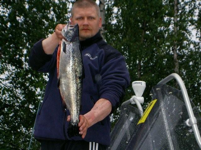 Tintti-Uistimen galleria